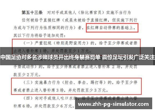 中国足协对多名涉赌球员开出终身禁赛罚单 震惊足坛引发广泛关注